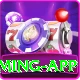 Big Winner Game Deluxe Gaming App