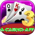 dravid Mega Casino App